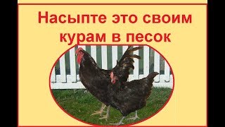 Привет из СССР - это для кур от блох, пероеда, пухоеда и других паразитов