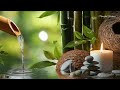 relaxing sleep music insomnia stress relief relax sleep spa u0026 meditation music heart healing