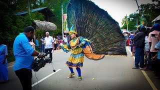 Peacock Dance Sri Lanka | monara dance | මොණර නැටුම