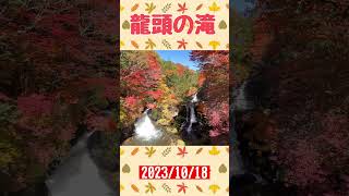 奥日光　竜頭の滝　2023/10/18 #ハイキング