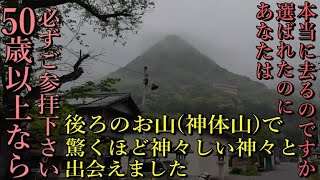 ※神回⚠️霧の中の神体山を登ると次々と神々しい神が姿を現しました！必ずご縁を結んで下さい！【滋賀県東近江市 太郎坊宮 阿賀神社】