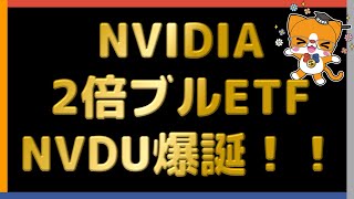 【更にFIREへ】 NVIDIA 2倍ブルETF NVDU爆誕！！ 【加速します】