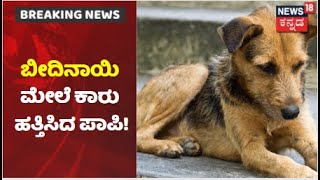 ಬೀದಿ ನಾಯಿ ಮೇಲೆ ಕಾರು ಹತ್ತಿಸಿ ಮಾಲೀಕನ ದರ್ಪ; Bengaluruನಲ್ಲಿ ನಡೆದ ಅಮಾನುಷ ಘಟನೆ, CCTVಯಲ್ಲಿ ಸೆರೆ