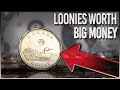 LOONIES WORTH BIG MONEY - RARE CANADIAN DOLLAR COINS IN YOUR POCKET CHANGE!!