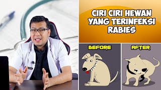 CIRI CIRI HEWAN YANG TERINFEKSI RABIES - DOKTER SADDAM ISMAIL