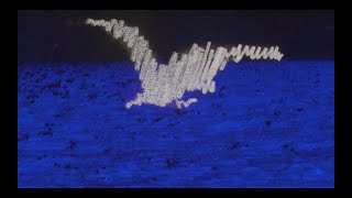 Silence Lyrics Video