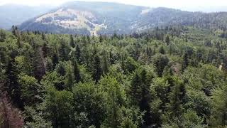 Hala Jaworowa - Groń Beskid Śląski - Brenna. dron