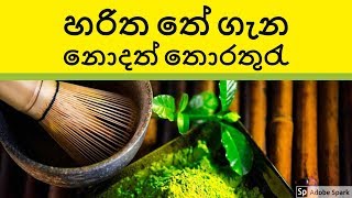 Green Tea හෙවත් හරිත තේ ගැන සැගවුනු කරුණූ ඇසුවොත් ඔබ පුදුම වෙවි !