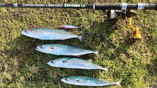 MACKEREL FISHING IN WINTER WITH METAL JIGS | WAYLANDER LURES