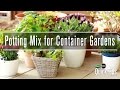 Container Gardening Essentials | Scotts Miracle-Gro Canada