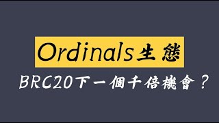 【Ordi揭秘】Ordinals生態，BRC20下一個千倍幣機會？