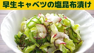 簡単！早生キャベツの塩昆布漬け/春キャベツの簡単漬け物/簡単で塩気もちょうどよく　サラダ感覚のお漬け物です。