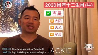 2020 [庚子] 鼠年运程解说 | 生肖 (牛)