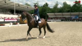 Golden Freestyle: Diederik van Silfhout - Arlando NH N.O.P Dutch Champion Grand Prix!