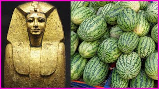 ফেরাউন এবং তরমুজ - Pharaoh and Watermelon - ফেরাউনের তরমুজ ব্যবসা