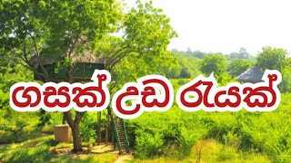 ගසක් උඩ රැයක් | යාල Treehouse