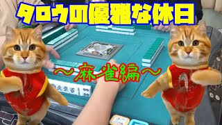 ３人麻雀の真髄を見せてやる！！(ジャンル　麻雀)