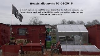 Weaste Allotments 03-04-2016