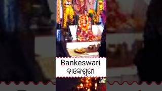 ମା ବାଙ୍କେଶ୍ଵରୀ #Maa Bankeswari Suna Mo Guhari #Jaya Maa Bankeswari#Maa Nija Bankeswari #Dumula#odia