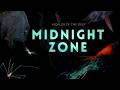 Into the Midnight Zone: Secrets of the Ocean Void