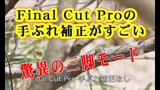 Final Cut Proの手ぶれ補正が凄い!!!!