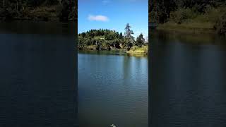 Hoquiam River Washington