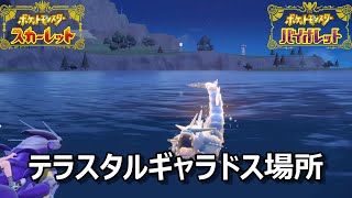 【ポケモンSV】テラスタルギャラドス場所　野生テラスタル＃３９【スカーレット・バイオレット】