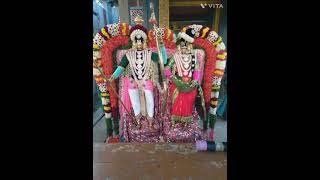 9th day thiruvizha photos and video at sri draupathi amman koil