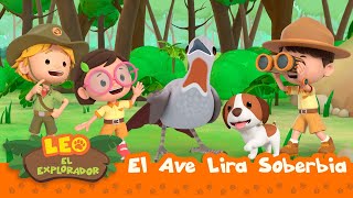 El Ave Lira Soberbia (Español) - Leo, El Explorador Episodio | Animación - Familia - Niños