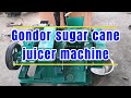 10 Ton Sugar Cane Extractor Juice Machine #gondormachinery #sugarcanejuicemachine #fruitprocessing