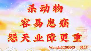 卢台长开示：杀动物容易患癌，怨天业障更重Wenda20200503   04:17