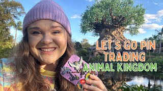 Let's Go Pin Trading in Animal Kingdom WDW| New Merchandise, New Pins, Birds, Tigers and More