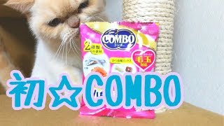 愛猫、COMBOを食す