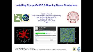 2026 CC3D Summer Workshop Orientation Part 2: Installing CompuCell & Running Demo Simulations