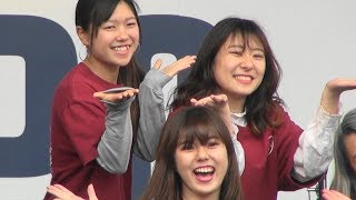 関東学院大　ストリートダンス部　BEP-HOP　横浜トライアスロン　EXPO　2018