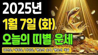 [오늘의 운세] 2025년 1월 7일 (화) 띠별운세