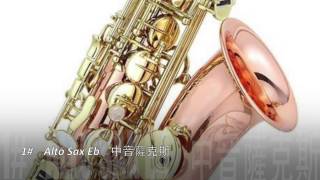 Roland Aerophone AE-10 tones test 1 - Digital Wind Instrument【AnYiPapaShow】