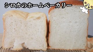 シロカのホームベーカリー‼️国産強力粉を使ったパンレシピ🍞ボタンひとつでふわふわ食パン！\u0026食べ比べ！