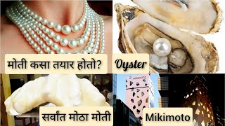 मोती कसा तयार होतो? | How are pearls formed? | Oyster | मोत्यांचे प्रकार | Moti