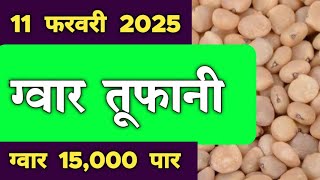 11 फरवरी 2025, गुआर का ताजा भाव।ग्वार का भाव आज का।Gwar ka bhav aaj ka. Gwar bhav today. ग्वार भाव