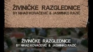 Živiničke razglednice - Stećci na području općine Živinice 9.01.2014