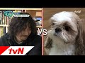 Dear My Human '연예계 호랑이' 타이거JK, 강아지한테 질투 대폭발? 171129 EP.11