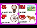 உயிர்மெய் எழுத்துக்கள் / UyirMei Ezhuthukkal  /கஙசஞ/ க கடிகாரம் / க முதல் ன வரை / Tamil letters