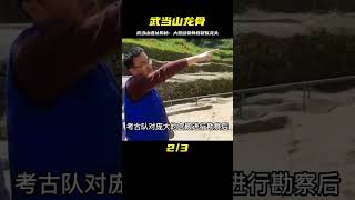 武當山挖出大型動物骨骸，好似龍頭骨，是傳說中的龍嗎？ #法拉歷史 #法拉 #歷史 #古墓 #神仙