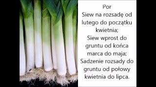 Termin siewu i sadzenia warzyw (ponad 60)