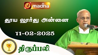 🔴 LIVE | HOLY MASS IN TAMIL | 11 FEB 2025 | 06:00 PM | BESANT NAGAR | MADHA TV