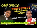 AMITH WALPOLA WITH SUNFLOWERS LIVE SHOW පැරණි සන්ෆ්ලවර්ස්  PANADURA 2004 RECREATED SOUND