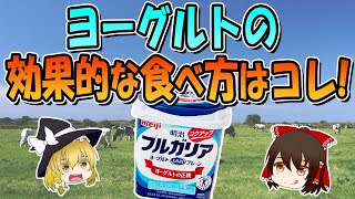 ヨーグルトを効果的に食べる方法！合う・合わないの見分け方も解説