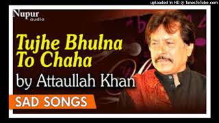 Tujhe Bhoolna To Chaha Lekin bhula na paya Sad Song Bewafa Sanam #murlishahar #murlitalwas