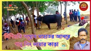 মিশিরডি সন্তোষ মাহাতোর আসরে পানু সিং লয়ার কাড়া // Mishirdih Kara Larai 2023 // Panu Shing Laya